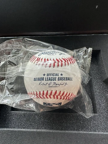 Rawlings Minor League Baseball Cover