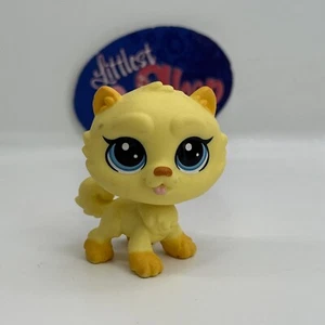 ILIO FAIRMIST CHOW DOG #251 - Littlest Pet Shop - Hasbro LPS - Picture 1 of 4