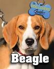 Beagle 18 Dog Lover's Guides, Diana Porter,  Hardb