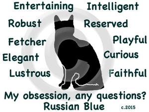 Russische blaue Katze ~ Meine Obsession, Fragen? ~ T-Shirt Größenwahl Farbe - Bild 1 von 5