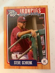 Steve Schrenk 2019 Lehigh Valley Iron Pigs Team Card