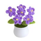 Handcrafted Woven Planters Desktop Decorative Flower Pots Delicate Gifts