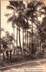 Sudan Récolte du vin de Palme Vintage Postcard B177 - Picture 1 of 2
