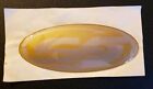 New SEA FOX Gold and Silver Oval Emblem Decal Approximately 51.2" x 2 1/8"