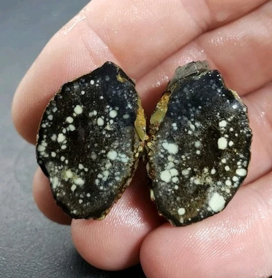 Frog Blossom Pseudomorph Variscite Clam - Image 1 of 4