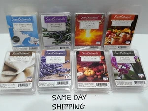 SIE WÄHLEN ScentSationals Wachswürfel Torten Limited Edition VERSAND AM SELBEN TAG #11S - Bild 1 von 2