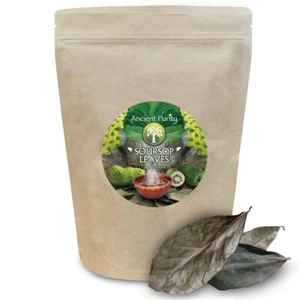 SOURSOP LEAVES Graviola 20g | Powerful Tea | Organic | Wonder Herb (Guyabano) - Picture 1 of 9