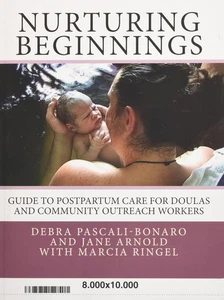 Nurturing Beginnings: Guide to Postpartum Care for Doulas and Community Outr... - Picture 1 of 1