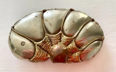 Hebilla de cinturón vintage de latón concha de perlas metales mixtos brutalista vida marina inusual Foto 1 de 4