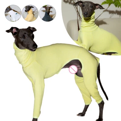 Suéter cuello alto perro grande italiano galgo ropa invierno perros costilla 4 patas mascota. Foto 1 de 4
