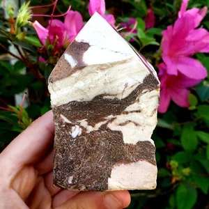 Zebra Jasper semi Polished point Crystal Healing Natural Metaphysical Gemstone - Picture 1 of 8