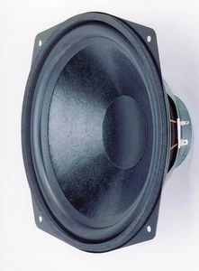 Visaton WS 25 E Tieftöner / 8 Ohm - Picture 1 of 1