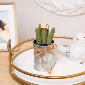 Northlight 7" Tropical Green Mini Faux Cactus in Silver Planter with Twine Bow - Picture 1 of 6