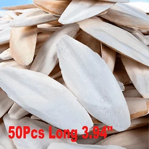 3.94" Large 50X Cuttlebone Cuttlefish Bone Sepia Cuttle Fish Bird Food Calcium - Picture 1 of 12
