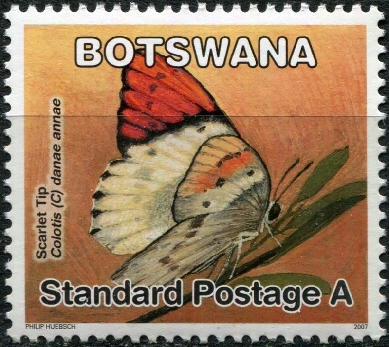 Botswana 2007. Butterflies - Scarlet Tip (MNH OG **) Stamp - Image 1 of 1