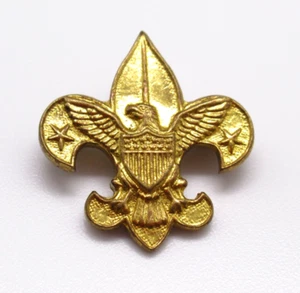 Boy Scouts of America Pin goldfarben Tenderfoot Rang BSA Pat 1911 Vintage - Bild 1 von 8