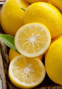 Lot of Fresh Lemons Citrus FRUIT (Pack of 1~2~~5~10~15 Pound) FREE SHIP*NON-GMO* - Picture 1 of 6