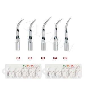 2Packs Dental Scaling Tips G1-G5 For EMS/WOODPECKER Ultrasonic Scalers Handpiece - Picture 1 of 9