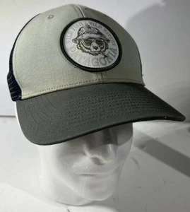 Patagonia Take A Stand Trucker Mesh Snapback Wild Griz/Sleet Green OSFM Hat Cap - Bild 1 von 7