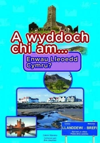 Cyfres a Wyddoch Chi: A Wyddoch Chi am Enwau Lleoedd Cymru? - Catrin Stevens - Image 1 of 1