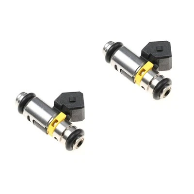 2X Inyector de combustible IWP-069 214310006900 apto para DUCATI MOT 749 749 (H 5) 2002-2006 Foto 1 de 3