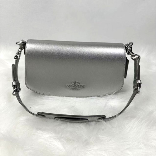 Borsa a tracolla Coach Andrea SMALL in pelle liscia argento argento chiaro CW023 nuova con etichette