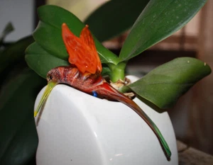 Art Blown Glass Hanging Figurine Ornament Hummingbird #5 - Picture 1 of 3