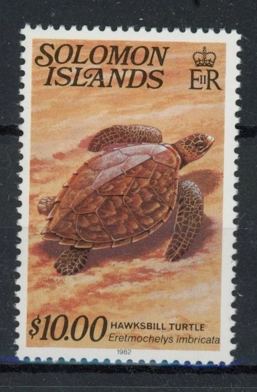 Solomon Isl 1982 年:海龟 - 非常精美全新邮票 — 第 1/1 张图片