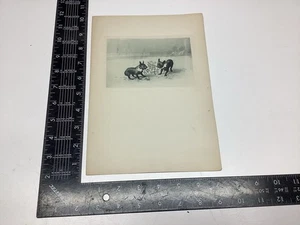 P-1 7 ART PAPER ETCHING PRINT PHOTOGRAVURE FRENCH BULLDOGS MISTLETOE CHRISTMAS - Picture 1 of 20