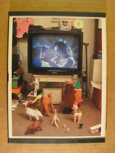 BJÖRK - Live At Cambridge (2002 DVD) The Sugar Cubes - Picture 1 of 3