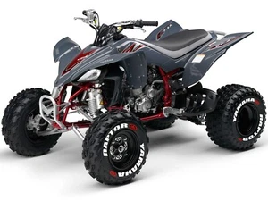 Tire Lettering RAPTOR ATV PERMANENT Sticker fits 10"-14" For 4 tyres SET 1.30" - Picture 1 of 3