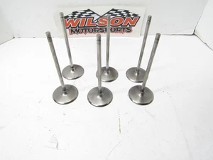 6 válvulas de admisión de titanio Del West usadas 7 mm" X 2,250 X 5,940" MANLEY XCELDYNE - Imagen 1 de 4