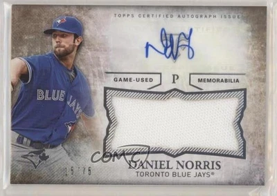 2015 Triple Threads Unity Jumbo Relics Sepia /75 Daniel Norris Rookie Auto RC - Image 1 of 2