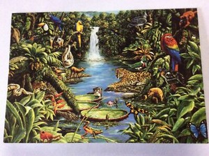 Blank Birthday Card Wildlife Animals Birds Tractor Jockey Forest Fish Pets 