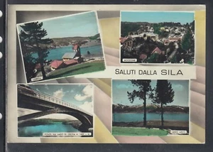 Cartolina Saluti dalla Sila VEDUTINE TA252 - Picture 1 of 1