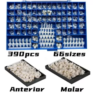 Temporary Dental Crowns 66Sizes Crown Mold Guides Premolar Molar Anterior Cuspid - Picture 1 of 9