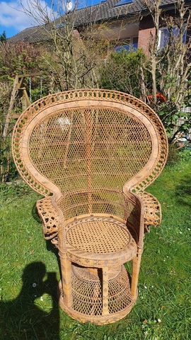 Filigree Antique Chair Handmade from Indonesia Probably Rattan around 1880 Cover
