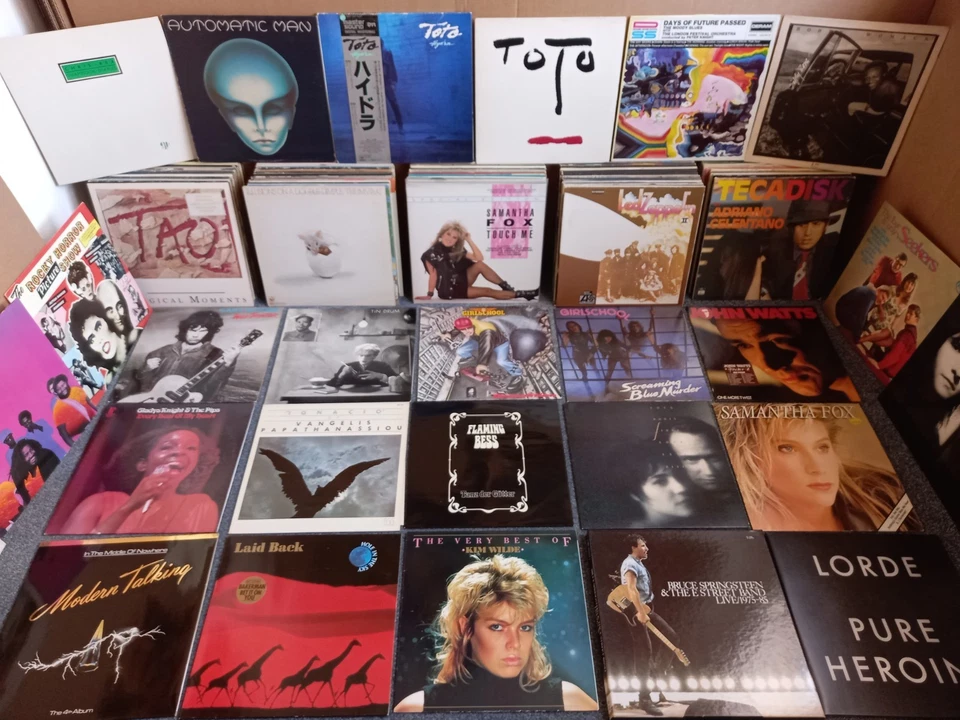 SCHALLPLATTEN SAMMLUNG 182 LANGSPIELPLATTEN LP'S VINYL PROG ROCK POP JAZZ USW. - Immagine 1 di 4