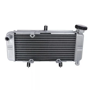 Radiador de refrigeración del motor de motocicleta nuevo para Honda CB300F CBR300R 2015-2022 - Imagen 1 de 9