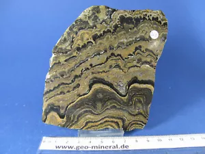 Stromatolithen von Bolivien - geschliffen und poliert - Urfossil - 11cm (ST11) - Bild 1 von 4