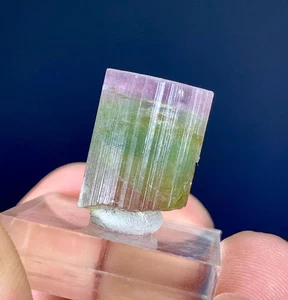 Wassermelone Turmalin Kristall aus Paprok Afghanistan - 31,50 cts - Bild 1 von 6