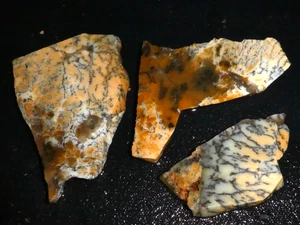 Ópalo Dendtrítico 3 piezas pequeñas - áspero - cableado - pantalla--NUEVO - Imagen 1 de 3