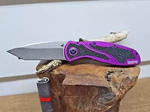 Kershaw Special Edition Stonewash Purple Blur BDZ1 Tanto 1670PURBDZ Ken Onion Kn - Picture 1 of 16