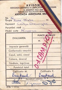 Romania, 1970's, Lot of 7 Diplomas, Poultry Breeders Association, Backyard Birds - Picture 1 of 8