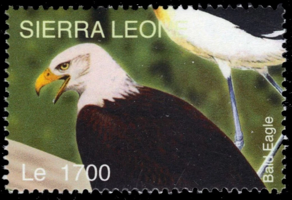 SIERRA LEONA 2704d - Águila calva "Haliaeetus leucocephalus" (pb57499) Foto 1 de 1