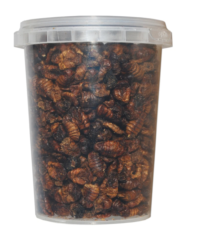 500 ml Seidenraupenpuppen / Silkworm gefriergetrocknet gefriergetrocknete - Bild 1 von 1