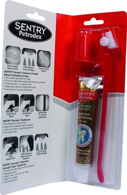 Petrodex Dental Care Kit Toothbrush Toothpaste Peanut Flavored for Dog Treats - Image 1 of 2