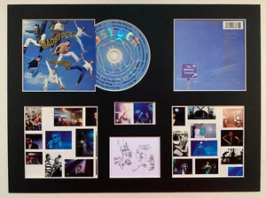 MADNESS - Signed Autographed - MADSTOCK - Album Display Deluxe - Picture 1 of 1