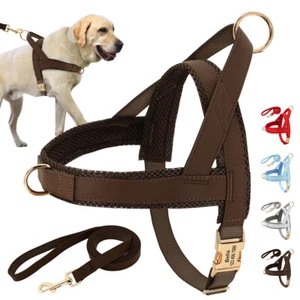 Personalized No Pull Dog Pet Harness Adjustable Padded Control Vest Name Engrave - Picture 1 of 22