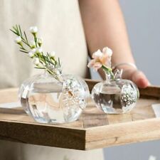 Transparent Home Decor Hydroponic Flower Vase For Flowers Glass Vase Cachepot